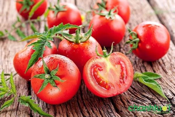 Cách trồng cà chua