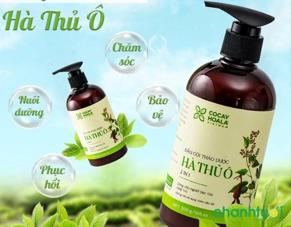 dầu gội đen tóc