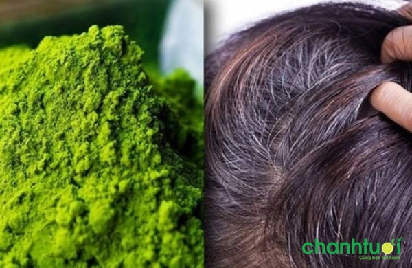 thuốc nhuộm tóc thảo dược
