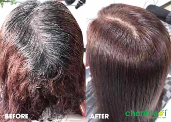 thuốc nhuộm tóc thảo dược