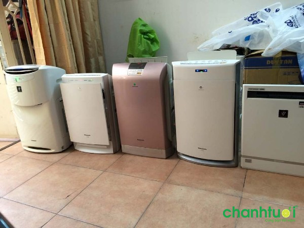 có nên mua máy lọc không khí