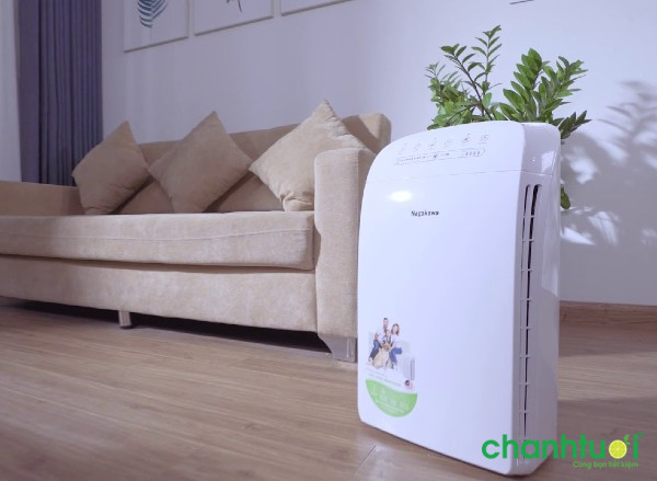 có nên mua máy lọc không khí
