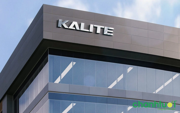 I-Kalite Slow Juicer
