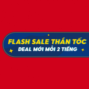 flash-1