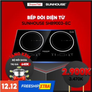 sun1