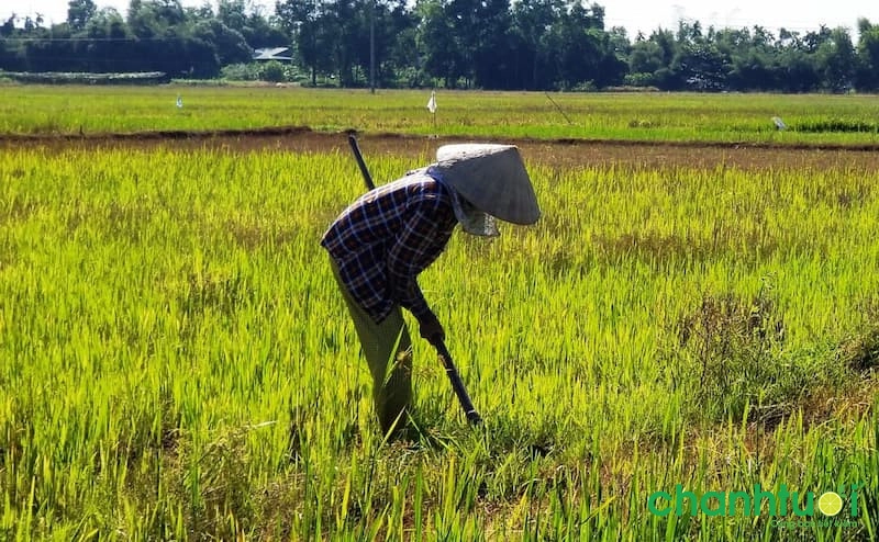 Tổng hợp ngày hoàng đạo, ngày đẹp, ngày tốt tháng 2 năm 2022 2 ngay hoang dao thang 2 5.jpg