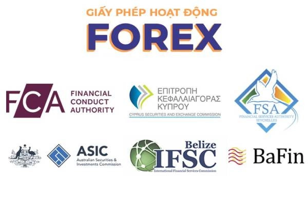 cac san forex duoc cap phep tai viet nam 11 1 1650536520.jpg