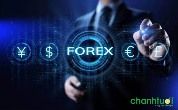 cac-san-forex-duoc-cap-phep-tai-viet-nam