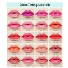 ETUDE HOUSE Dear My Glass Tinting Lips Talk BR401