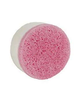 Spongeables Facial Cleanser in a Sponge