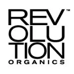 Revolution Skincare London Overnight Blemish Lotion