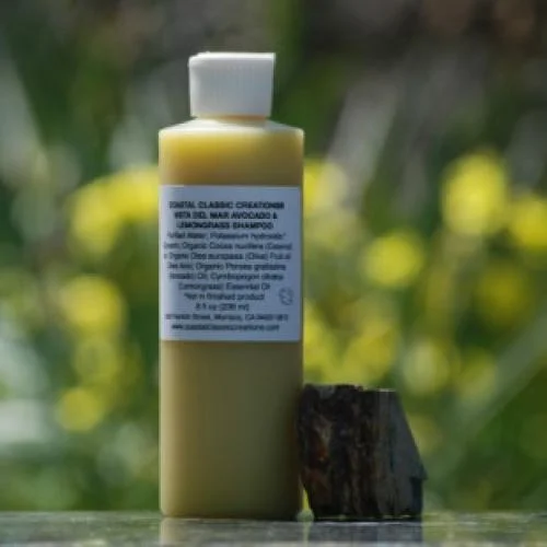 Dầu gội Coastal Classic Creations Vista Del Mar Avocado Shampoo