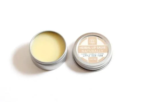 Son dưỡng thảo dược Little Seed Farm Herbal Lip Salve Naturally
