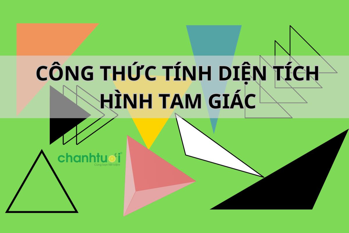 Công thức tính diện tích tam giác vuông, thường, cân, đều chi tiết 2024