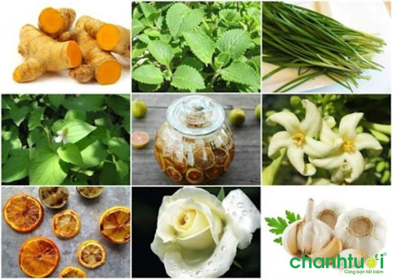 Làm thế nào để sử dụng các biện pháp tự nhiên để điều trị ho khan?