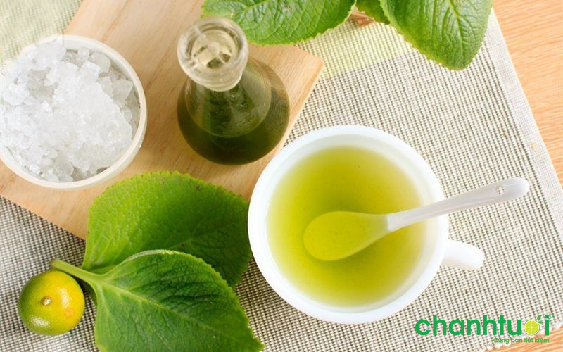 Cách chữa trị ho khan là như thế nào từ lá húng chanh