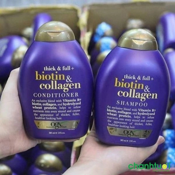 Nhãn hiệu dầu gội cao cấp