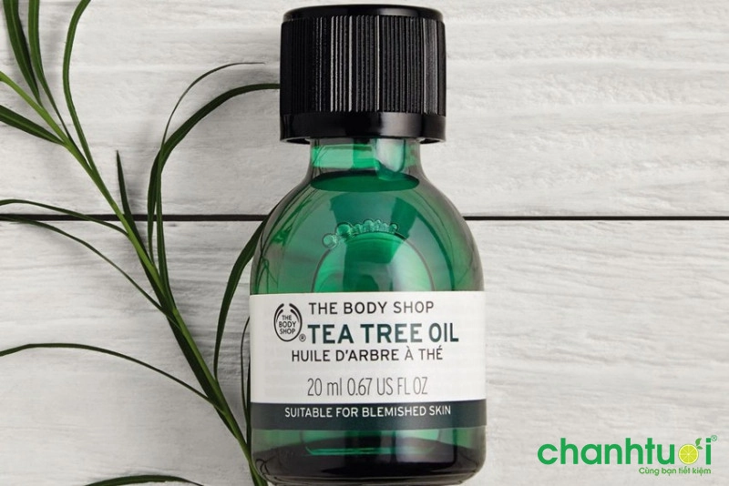 Dầu cây trà The Body Shop
