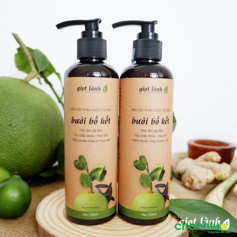 Dầu Gội Bồ Kết CÔ ĐẶC