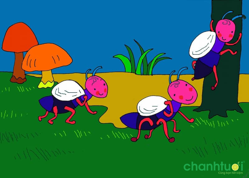 baithokienthamoi-1-1640359079-2