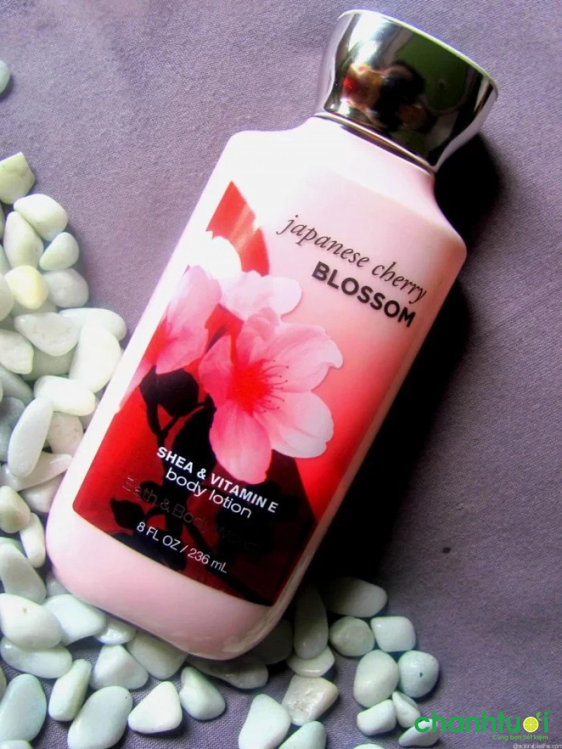 Sữa dưỡng thể Japanese Cherry Blossom Shea & Vitamin E