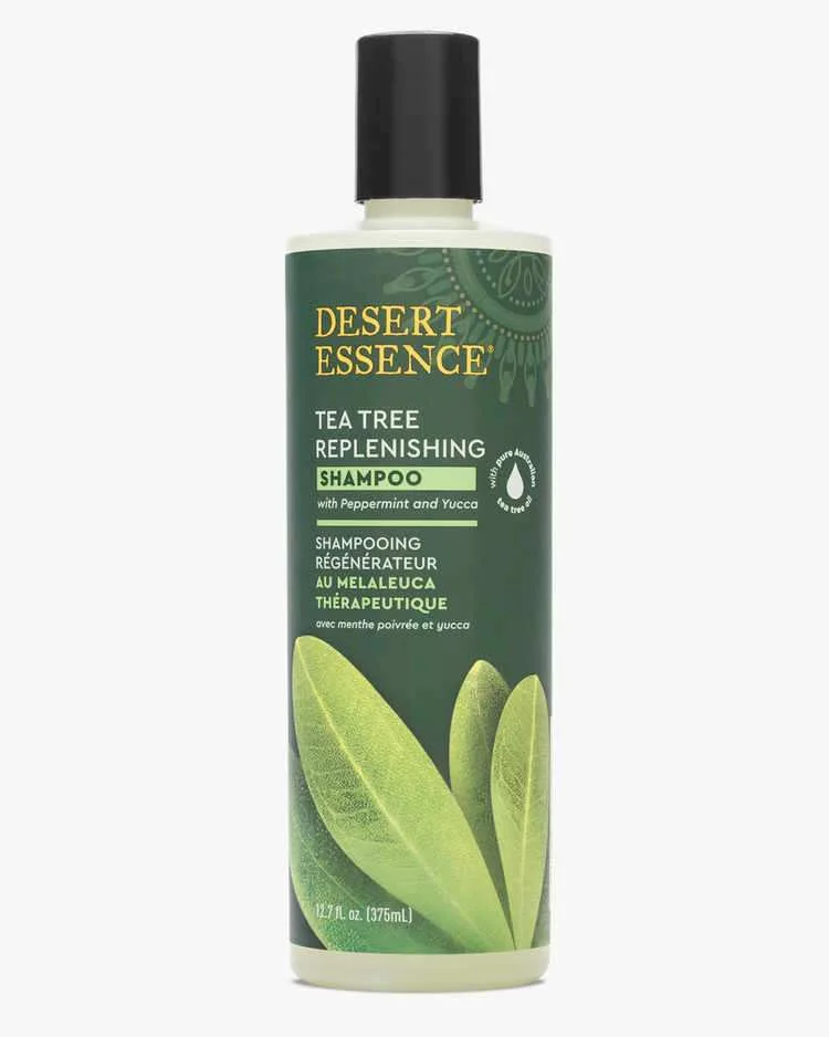 Dầu gội Desert Essence Tea Tree Replenishing Shampoo
