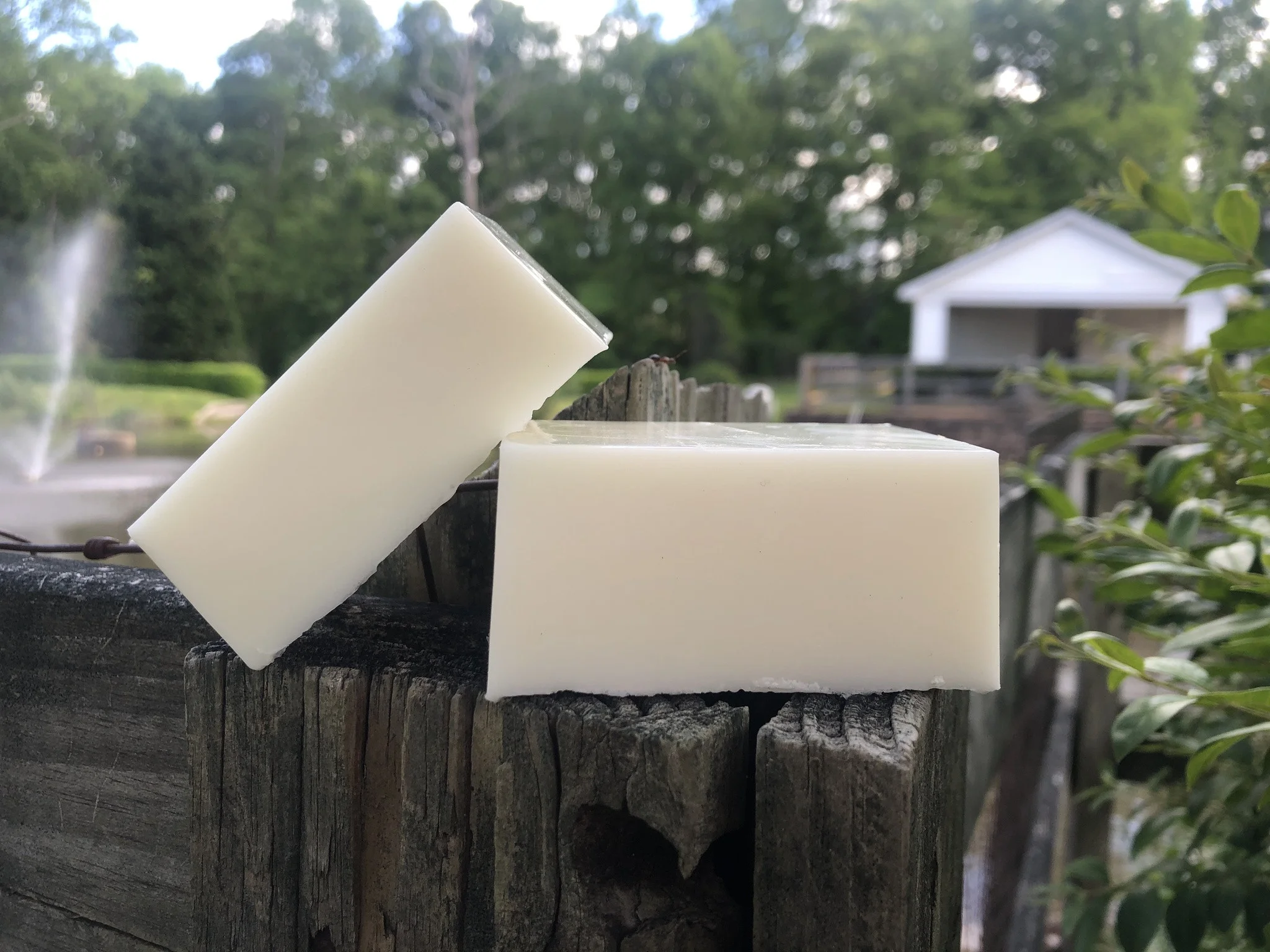 Ixora Donkey Milk & Chamomile Soap
