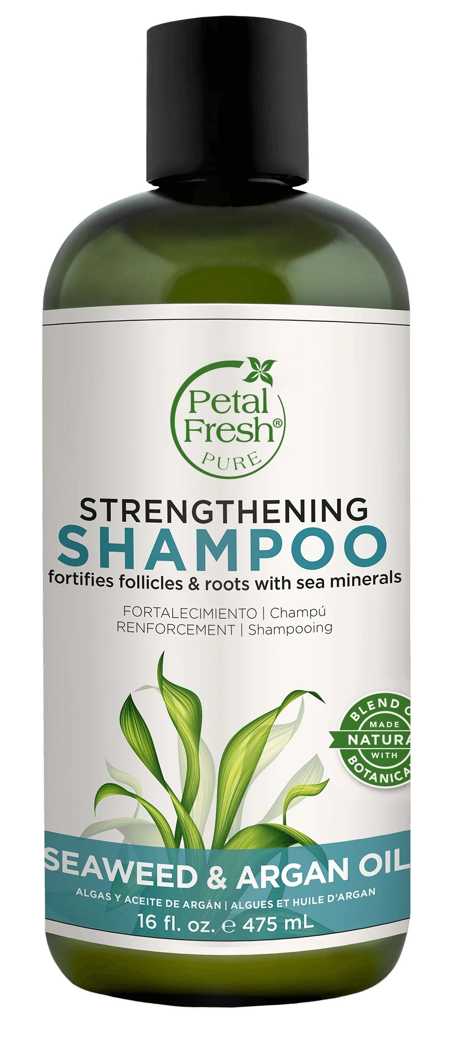Dầu gội Petal Fresh Seaweed & Argan Shampoo