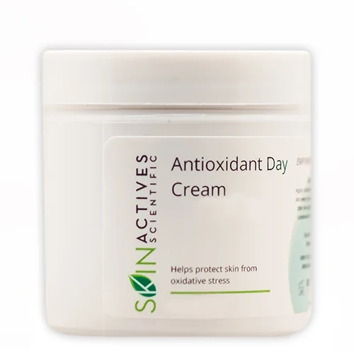 Kem Skin Actives Antioxidant Day Cream