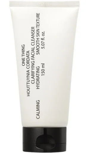 ONE THING Houttuynia Clarifying Facial Cleanser