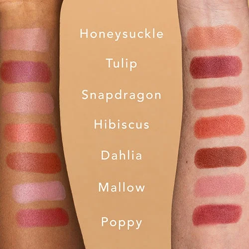 Ethique Satin Matte Lipstick