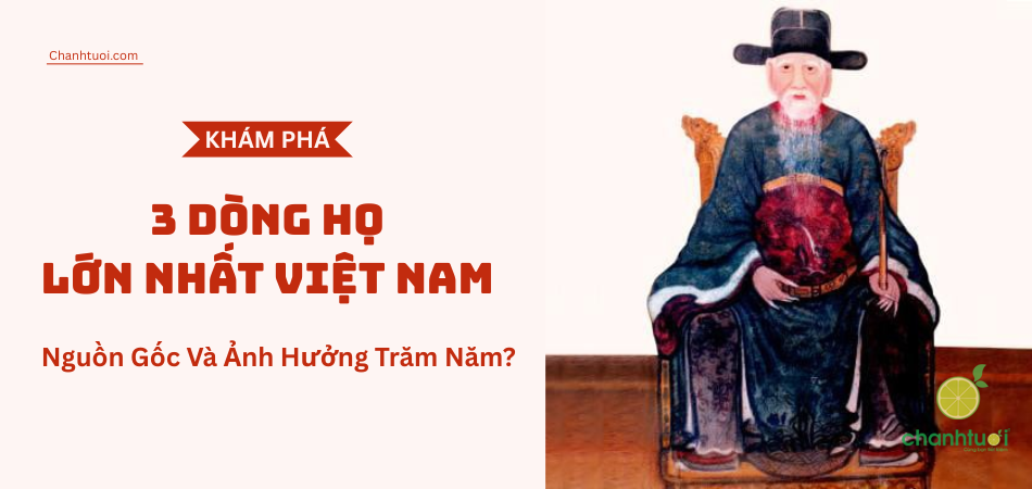 Khám Phá 3 Dòng Họ Lớn Nhất Việt Nam – Nguồn Gốc Và Ảnh Hưởng Trăm Năm?