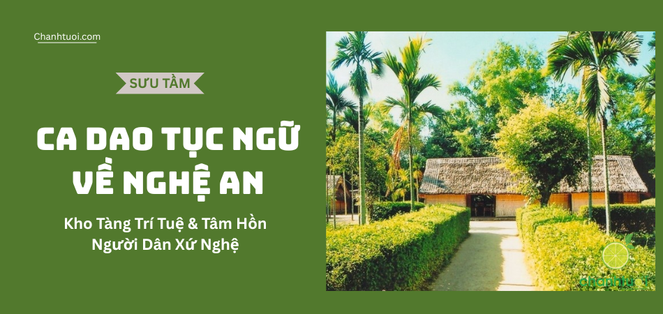 99+ Ca dao tục ngữ về Nghệ An - Kho tàng trí tuệ và tâm hồn người dân xứ Nghệ