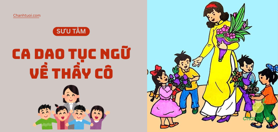 99+ Câu Ca Dao Tục Ngữ Nhắc Nhở Chúng Ta Về Ơn Thầy Cô