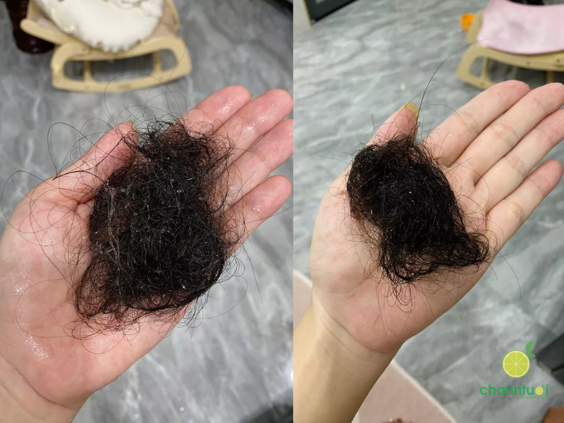 dầu gội Cocoon (5)