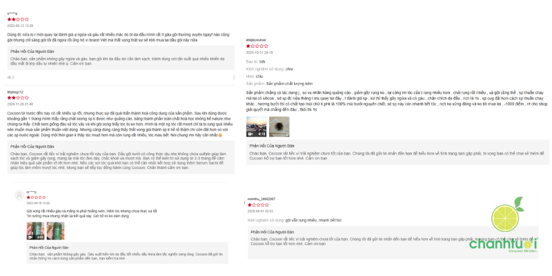 dầu gội Cocoon (6)