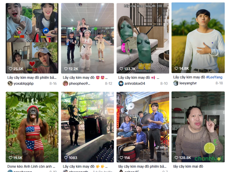 lấy cây kim may đồ (1)