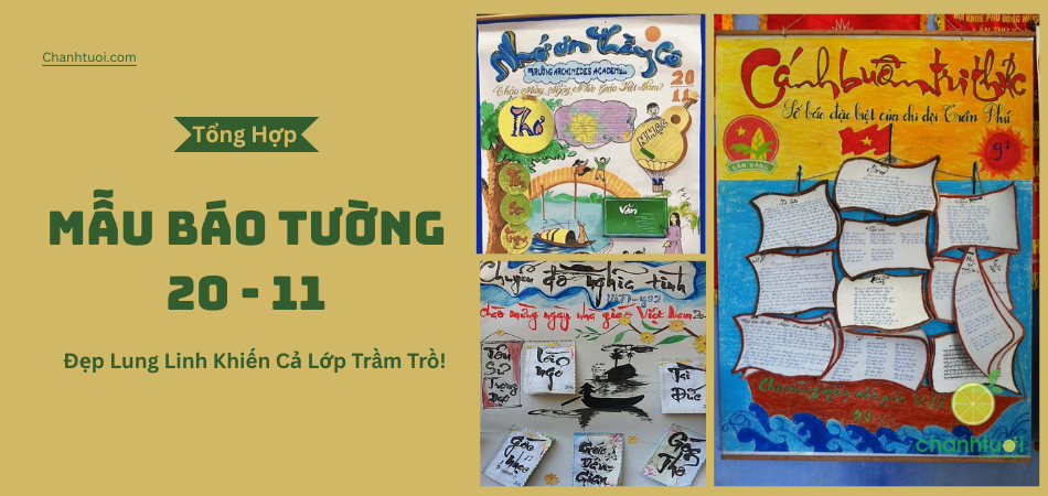 Mẫu Báo Tường 20/11 Độc Lạ – Ý Tưởng Khiến Thầy Cô “Tan Chảy”!