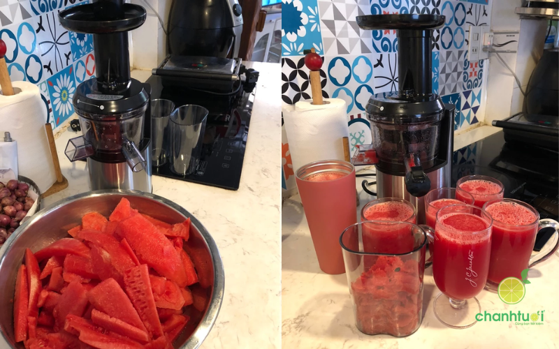 máy ép chậm Hafele GS 133 (1)