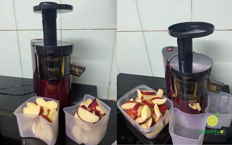 máy ép chậm SAVTM JE-07 (2)