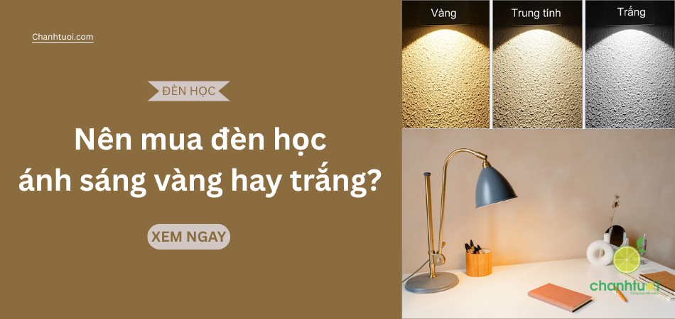 Nên chọn đèn học ánh sáng vàng hay trắng để bảo vệ mắt?