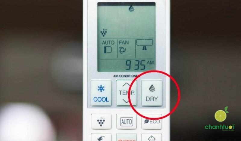 nhà nồm phải làm sao (2)