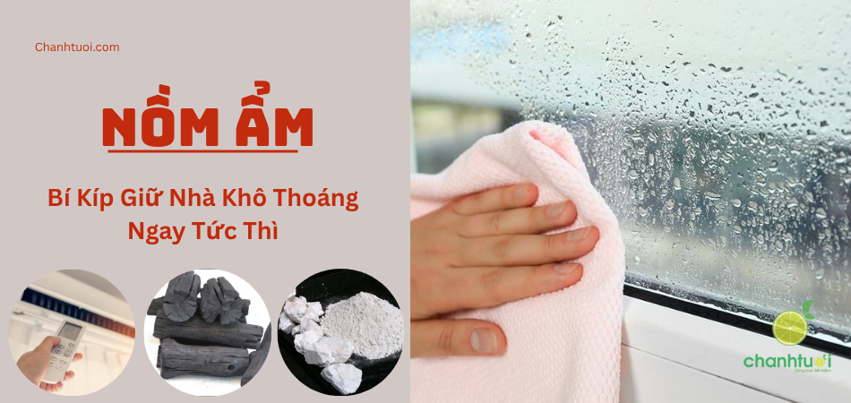 Nhà Nồm Ướt? 12 Bí Kíp Giữ Nhà Khô Thoáng Ngay Tức Thì