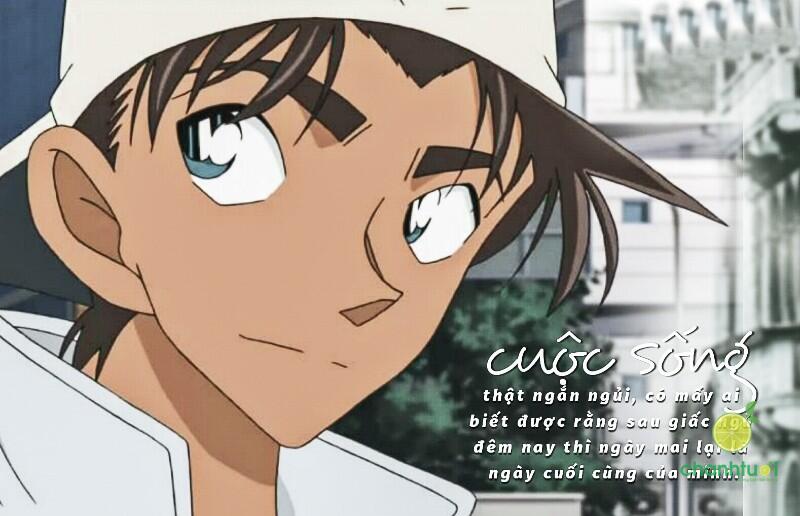 những câu nói hay trong conan (3)