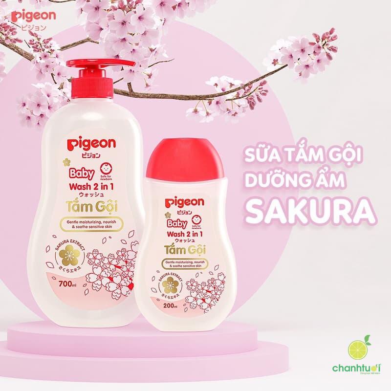 sua-tam-sakura-pigeon