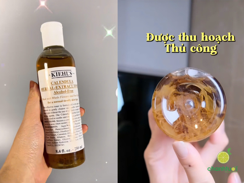 toner hoa cúc Kiehl's (5)