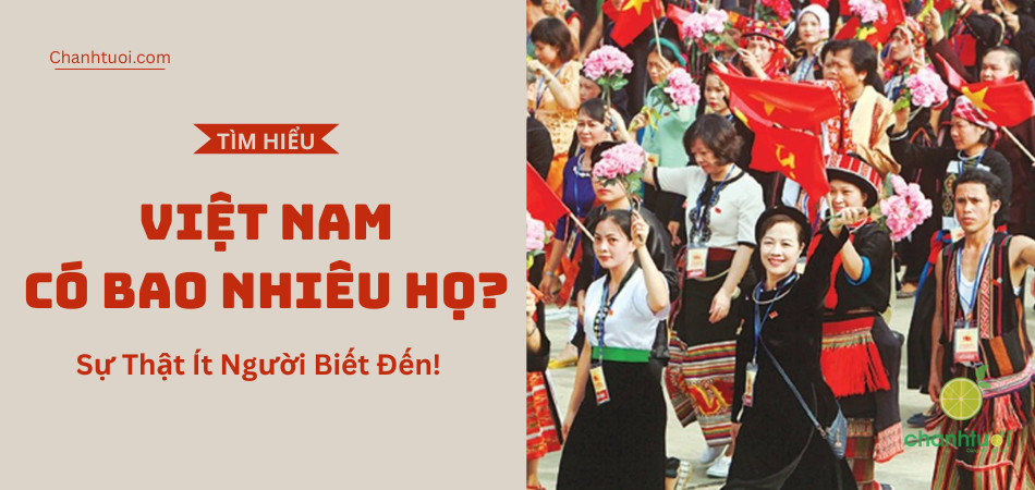 Việt Nam Có Bao Nhiêu Họ? Sự Thật Ít Người Biết Đến!