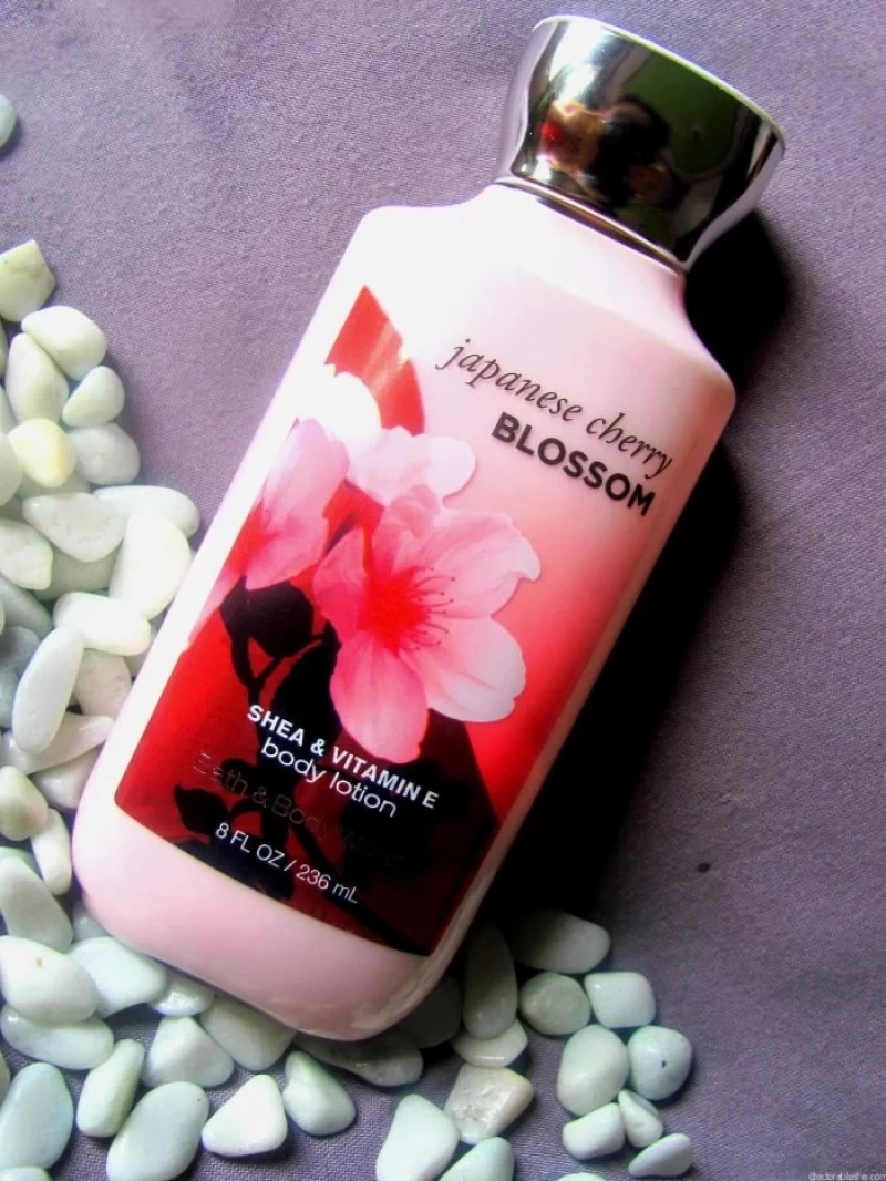 Sữa dưỡng thể Japanese Cherry Blossom Shea & Vitamin E